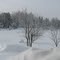 Winter view