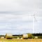 Wind Turbine and Hay
