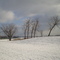 Winter, at St-Hubert