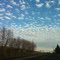 nice cloud
