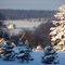 View from Philip's Christmas Tree Farm