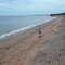Mon Chien sur ma plage