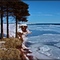 Canada-Gaspesie fin d'hiver 2009- Prêt de Grande Riviere