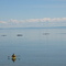 blue whale and kayaks