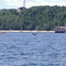 ballenas