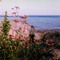 Le fleuve, aux Bergeronnes