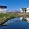Harrigton Harbour