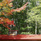 50930-33 CANADA QUEBEC