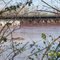 Railroad bridge and kingfisher creek flooding