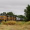 Union Pacific Railroad Locomotives at Kingfisher, OK