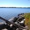 tamar island