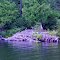 beaver house, Kokoko Bay, Lake Temagami, ON, Canada