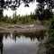 Large Log Jam on the Mountjoy River - looking North