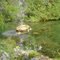 McIntyre Lodge Fountain and Pond