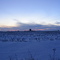 Champs de maïs en hiver