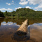 Plage du Lac Ernest