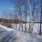Chemin du Lac-Gagnon, Réserve faunique de Papineau-Labelle, février 2008