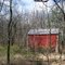 Shed in the Woods