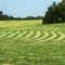 Hiéroglyphe agricole