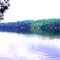 Lac Meech