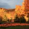 Fall, trees,  pumpkins, Near Gatineau Park. Pontiac, QC, Canada