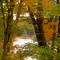 Gatineau Park in the Fall