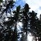 Red Lodge Provincial Park
