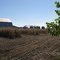 La Ferme - Farm