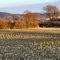 La vallée de la Yamaska