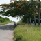 PARADA DE EL ENTRONQUE DE DIMA