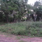 LA VEGA