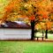 Autumn Barn - Creekside at Berryton