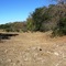 Cypress Creek