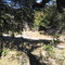 Miller Creek