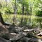 Rebecca Creek
