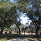 Smithson Valley Cemetery