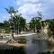 Cypress trees on the Guadalupe River