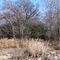 Rebecca Creek West Branch