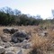 Rebecca Creek East Branch
