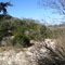 Devils Hollow Creek