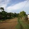 Isa's street