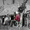 Los años le estan quitando el color