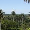 Mirador de Buena Vista