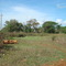 Laguna de Valladares (seca) (2009)