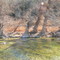 Pedernales Falls State Park