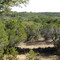 Wolf Mountain Trail