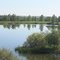 Claude N. Brennan Memorial Trout Pond