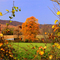 Fall through the Hedgerow