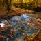 Autumn Creek Pastels