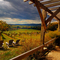 Vineyard Afternoon